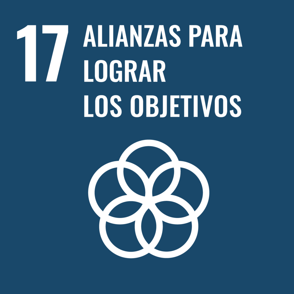 Promover iniciativas para garantizar el acceso y la seguridad de los usuarios a las TIC